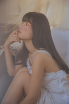 红楼淫梦史